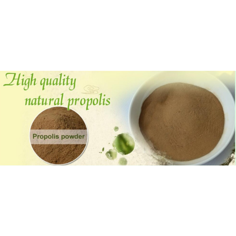 Raw Propolis Powder Manufacturer - Wholesale Custom Green Brazil