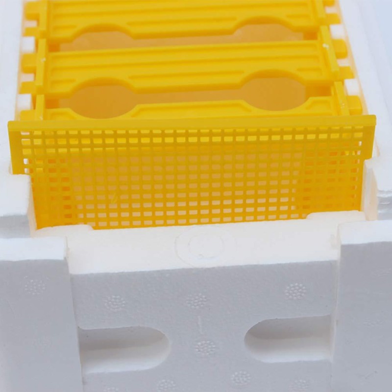 Queen Breeding Box Factory - OEM Custom Foam Nuc Hive