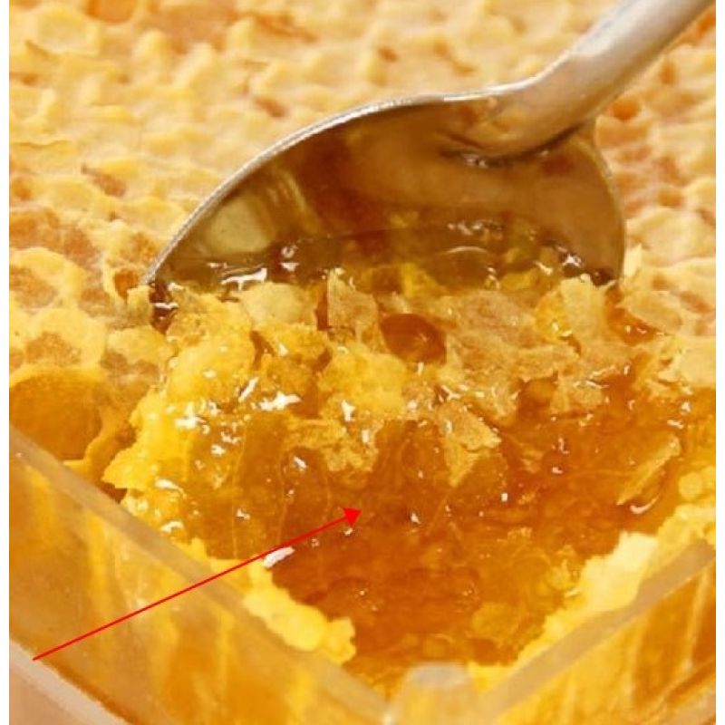 Raw Honey Comb Factory - Wholesale Custom Organic Honey