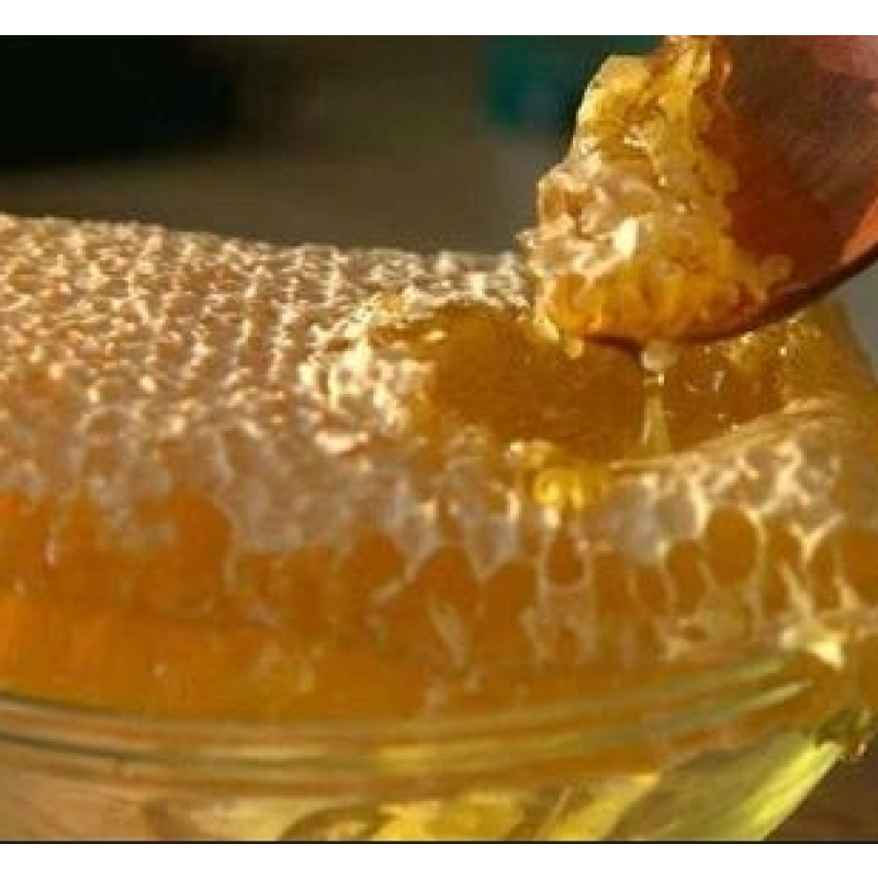 Raw Honey Comb Factory - Wholesale Custom Organic Honey