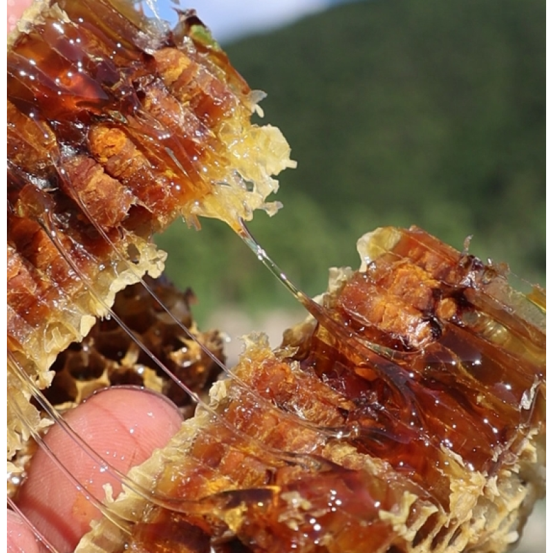 Raw Honeycomb Manufacturer - OEM Custom Unfiltered Beehive