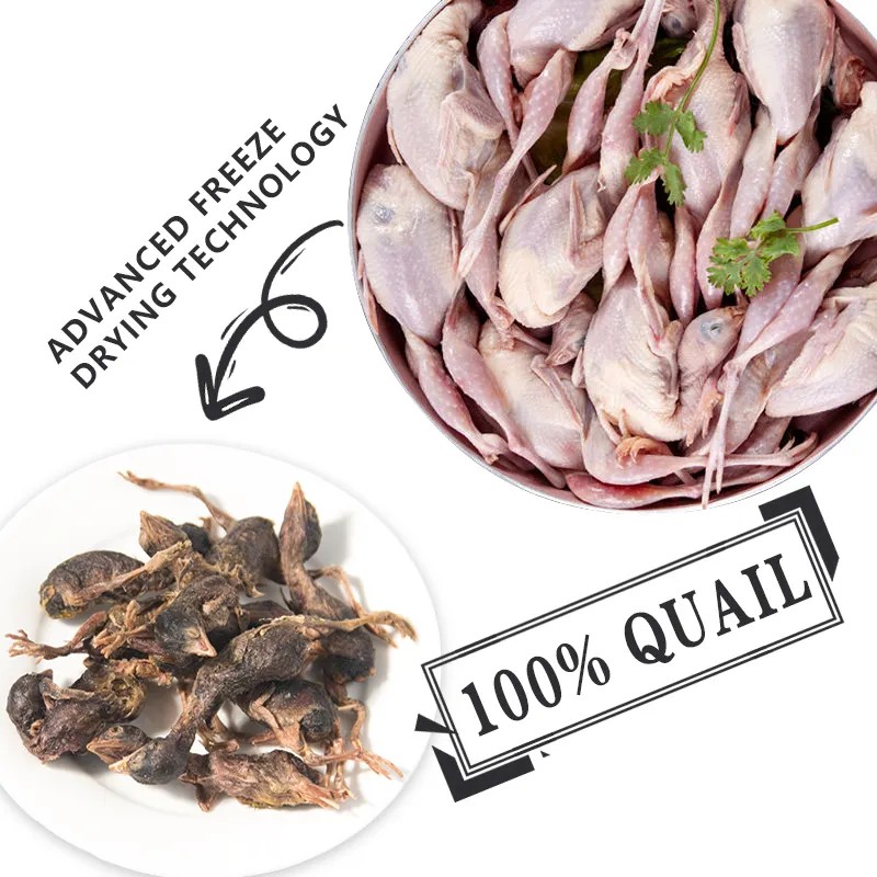 Freeze Dried Quail Manufacturer - OEM Package Pure Meat