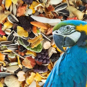 Parrot Food Manufacturer - Private Label Mixed Seeds