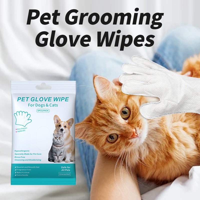 Pet Wipes Gloves Supplier - Extra-thick Odorless Disposable