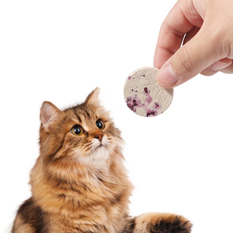 Freeze Dried Raw Meat Manufacturer - Wholesale OEM