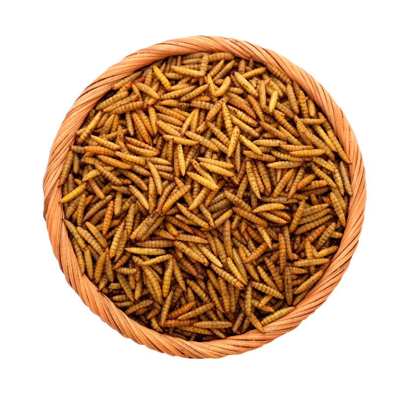 Black Soldier Fly Larvae Supplier - 100% Natural Dried