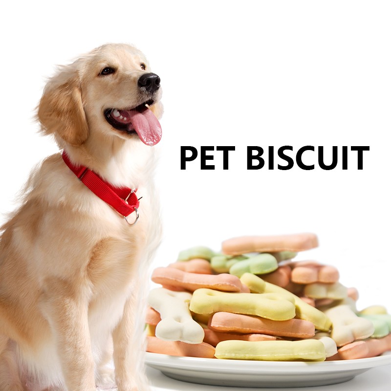Pet Biscuits Manufacturer - Bone Shape Variety Flavors