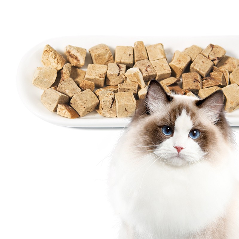 Freeze Dried Beef Liver Supplier - Custom Package Natural