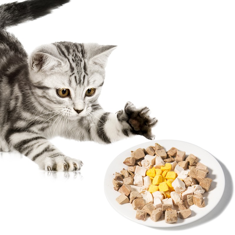 Freeze Dried Pet Treat Supplier - Custom Package Label