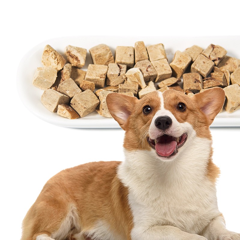 Freeze Dried Beef Liver Supplier - Custom Package Natural