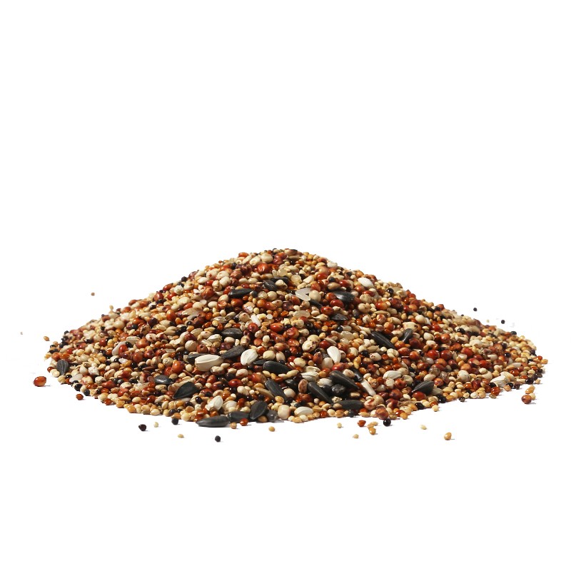 Parrot Food Factory - Custom Label Mix Seed