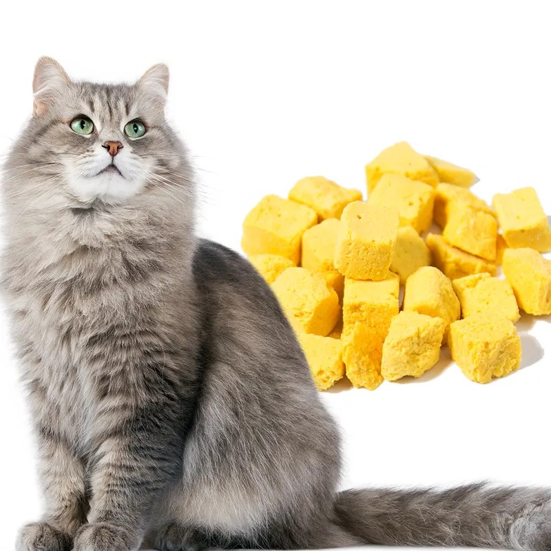 Freeze Dried Egg Yolk Manufacturer - Natural Cat Snack