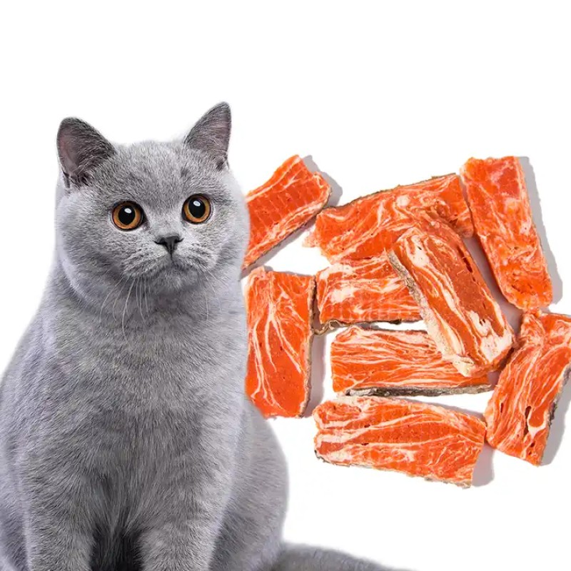 Dried Salmon Fillet Supplier - OEM Package Pet Treat