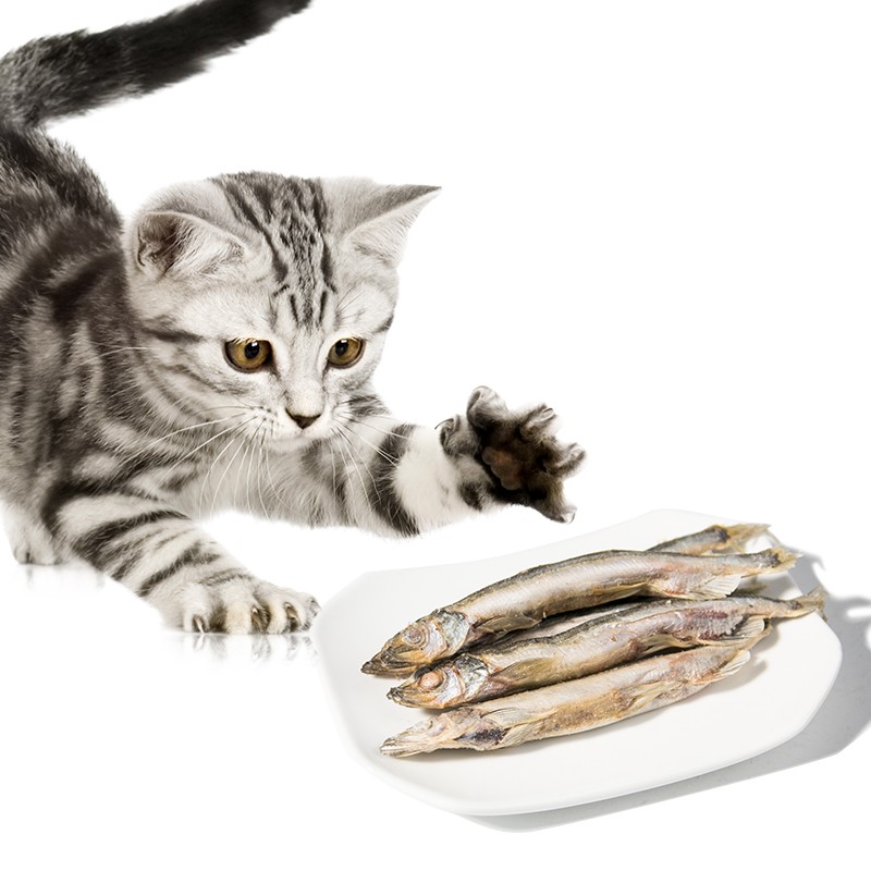 Freeze Dried Fish Supplier - OEM Package Capelin