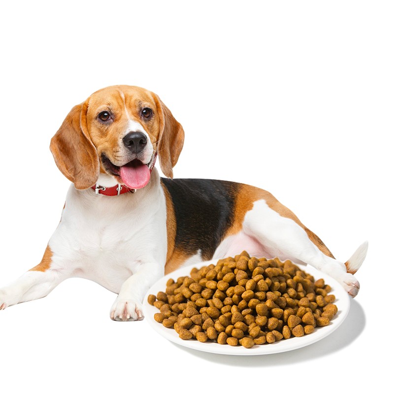 Vegan Pet Food Supplier - OEM 15kg Vegetarian