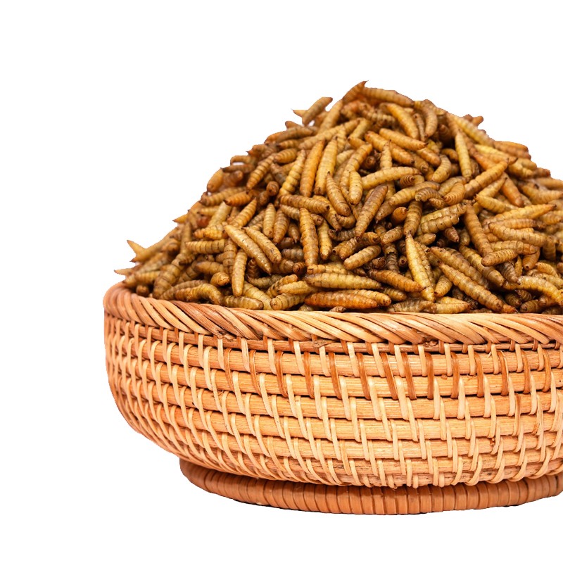 Black Soldier Fly Larvae Supplier - 100% Natural Dried
