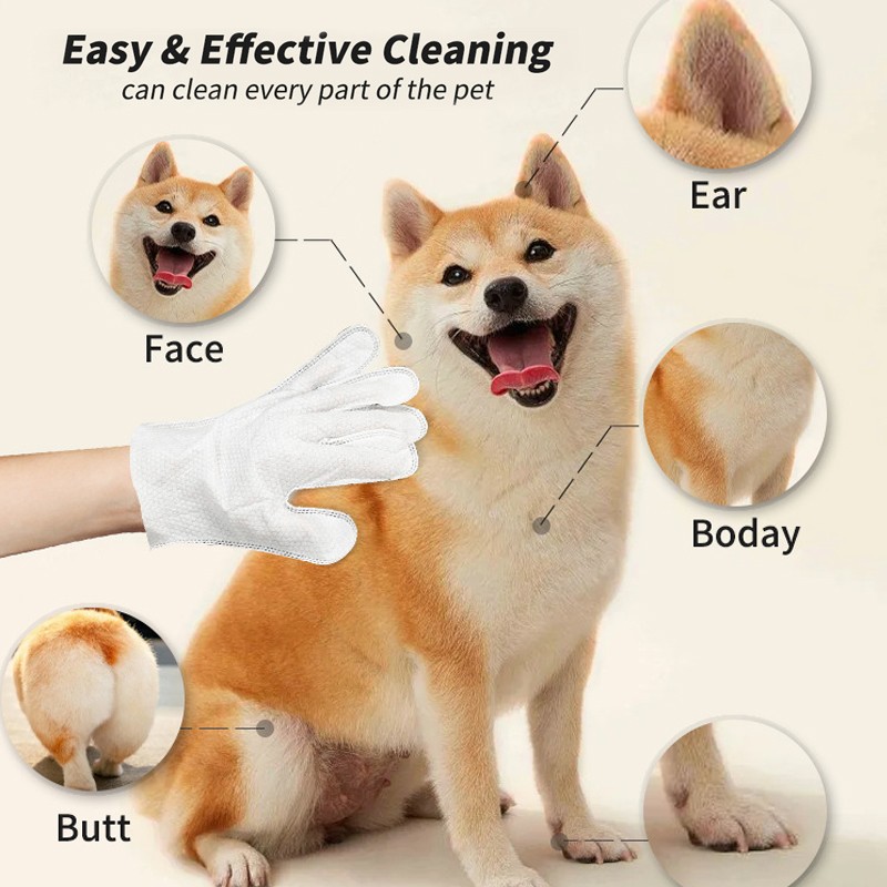 Pet Wipes Gloves Supplier - Extra-thick Odorless Disposable
