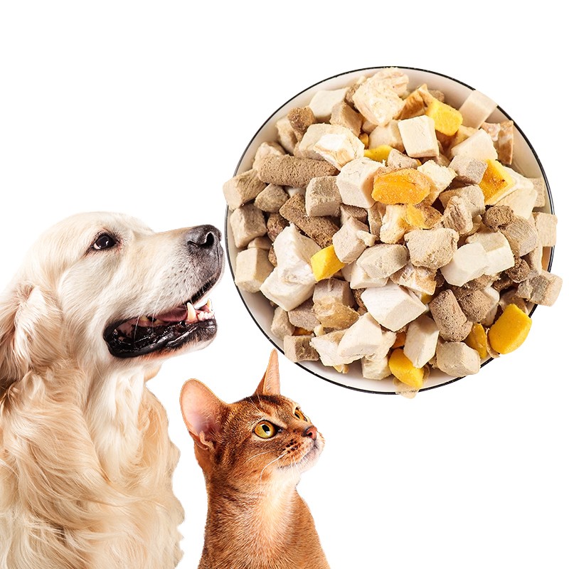 Freeze Dried Cheese Supplier - OEM Package Pet Snack