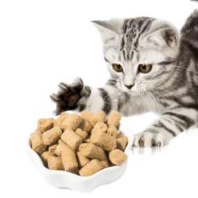 Freeze Dried Pet Food Manufacturer - Custom Raw Chicken