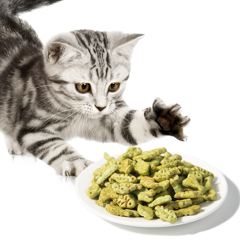 Catnip Grass Pet Treats Manufacturer - OEM Package