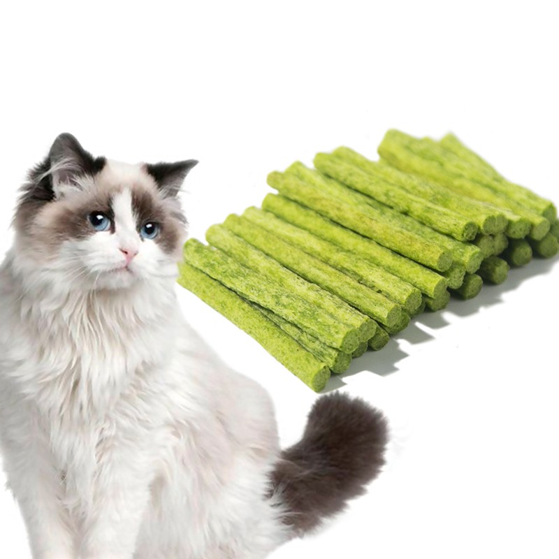 Catnip Snack Manufacturer - Custom Logo Vegan Grass