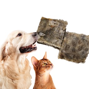 Dried Fish Skin Supplier - OEM Package Twist Snack