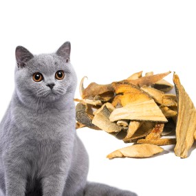 Dog Treats Freeze Dried Factory - OEM Label Fish Skin