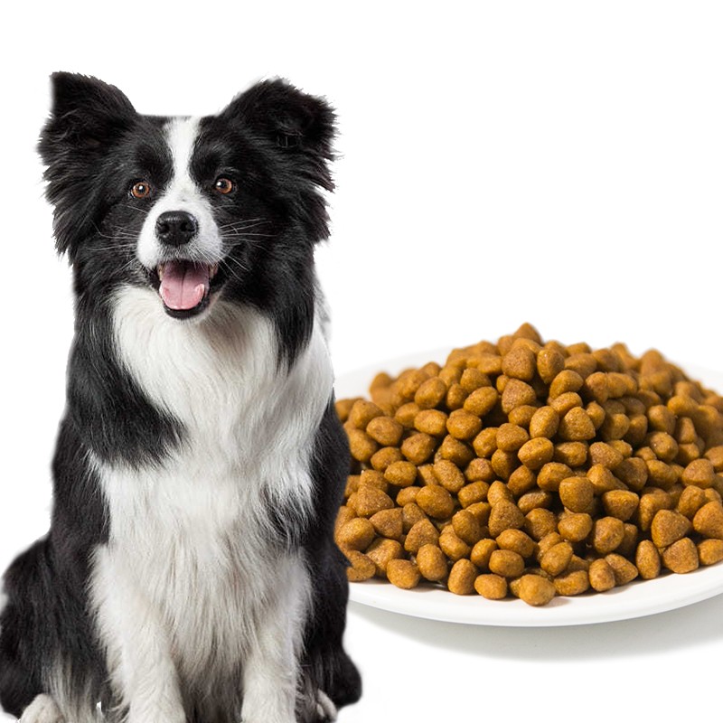 Dry Dog Food Manufacturer - OEM 10kg Various Flavor