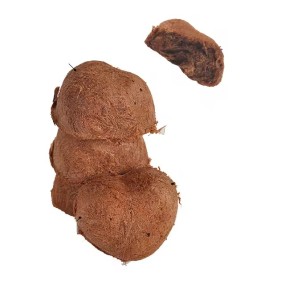 Freeze Dried Rabbit Blood Supplier - Custom Label Organic