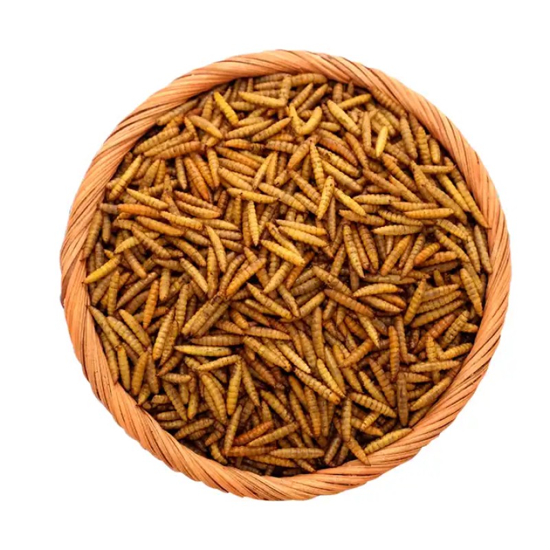 Dried Black Soldier Fly Manufacturer - Custom Package