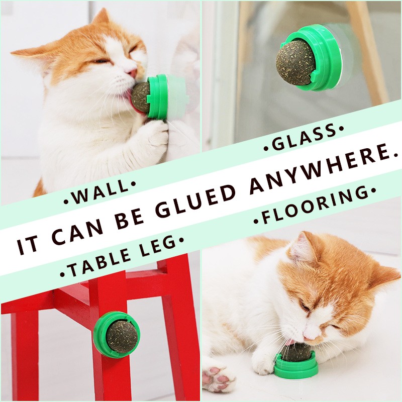 Catnip Cat Wall Toy Factory - OEM Package Stick On