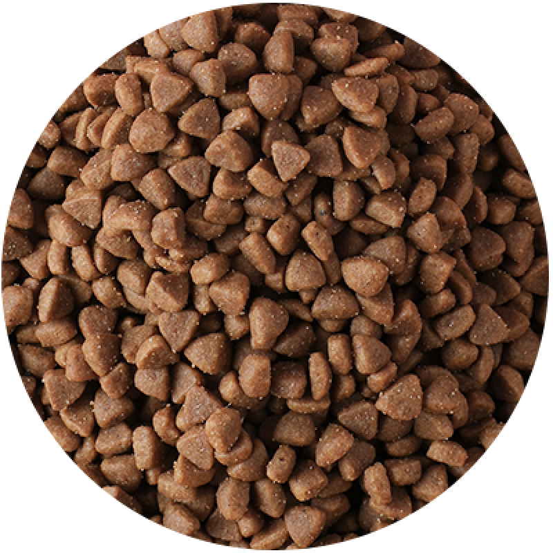 Organic Dry Dog Food Factory - Custom 10kg Various