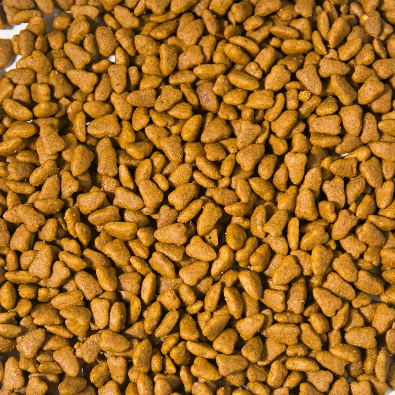 Cat Dry Food Factory - OEM 5kg Organic Bulk