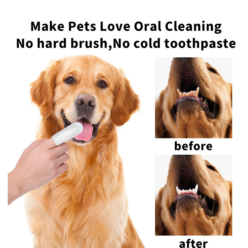Pet Teeth Wipes Manufacturer - Non-woven Extra-thick