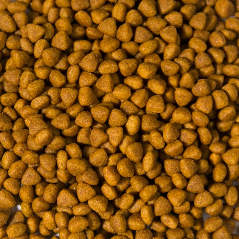 Dry Dog Food Manufacturer - OEM 10kg Various Flavor