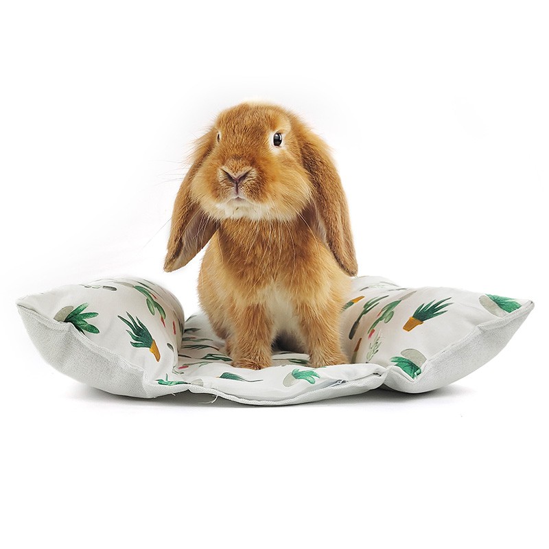 Small Pet Pads Supplier - Snuggle Burrow Flop Design