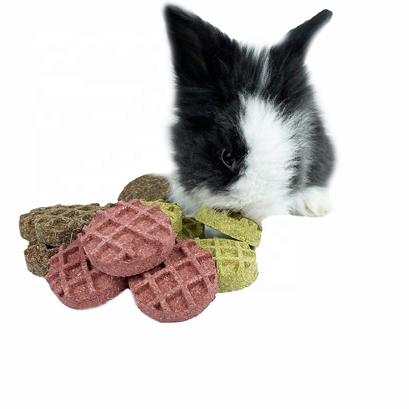 Rabbit Chew Toys Supplier - Waffles Molars Grass Cake