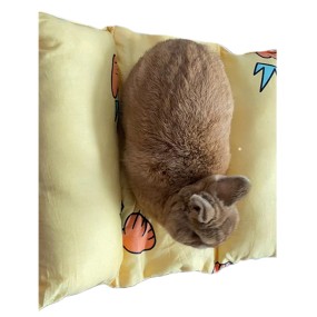 Small Pet Pads Supplier - Snuggle Burrow Flop Design