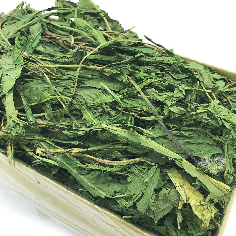 Rabbit Hay Snacks Supplier - Natural Dandelion Grass