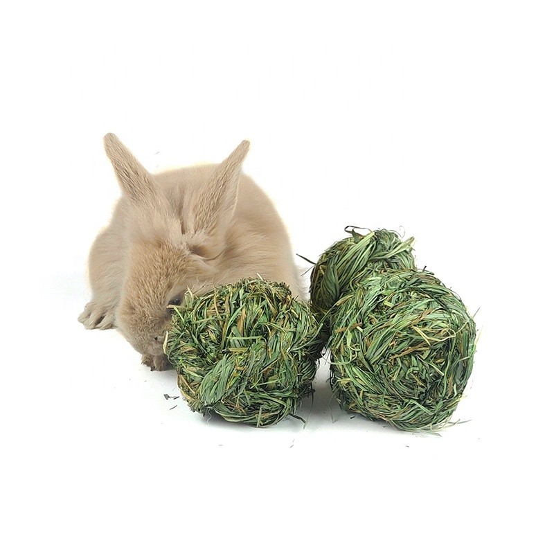 Pet Food Cleaning Ball Manufacturer - Molar Alfalfa Hay