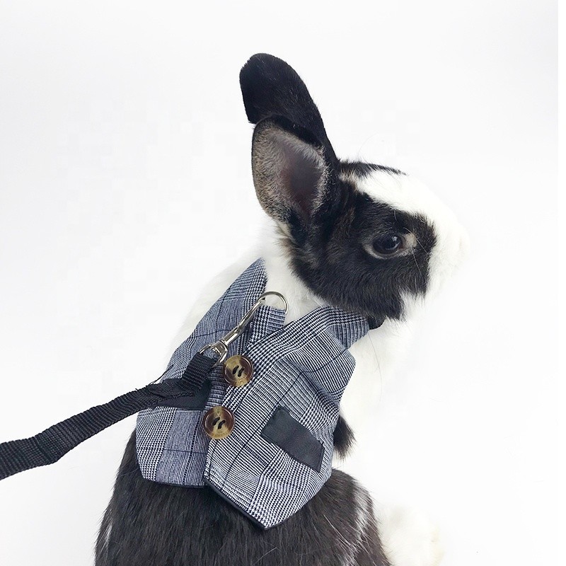 Rabbit Harness Supplier - Adjustable Bunny Leash Set