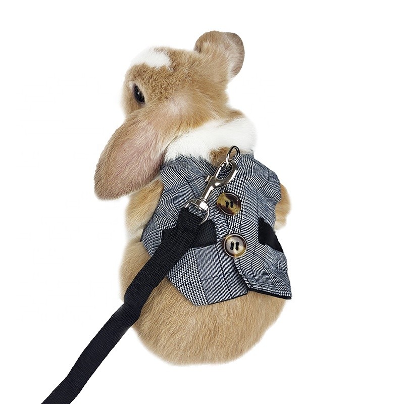Rabbit Harness Supplier - Adjustable Bunny Leash Set