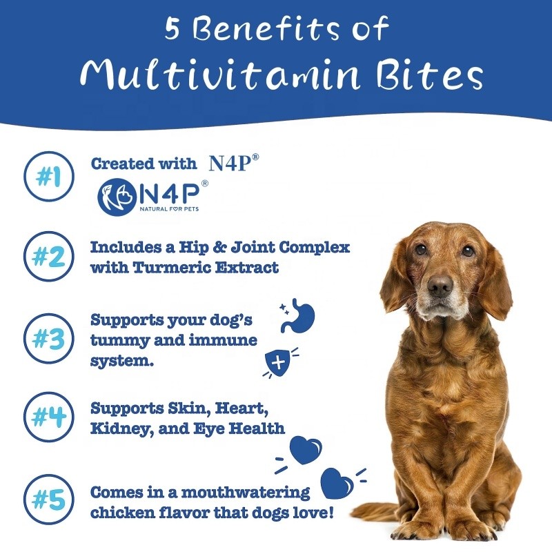 Pet Vitamins Factory - Factory Wholesale Soft Chew Nutritional Supplement 11 in 1 Multivitamin for Pets