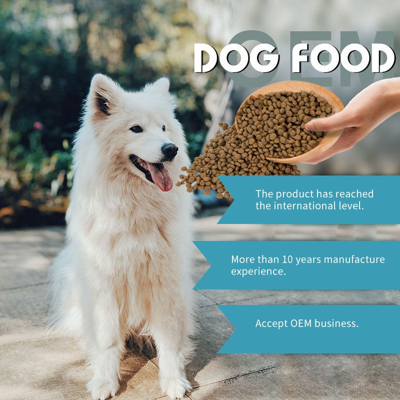 Jerky Food Manufacturer - N4P Factory Direct Salmon Chicken Beef Jerky Dog Food OEM Customizable Raw Materials