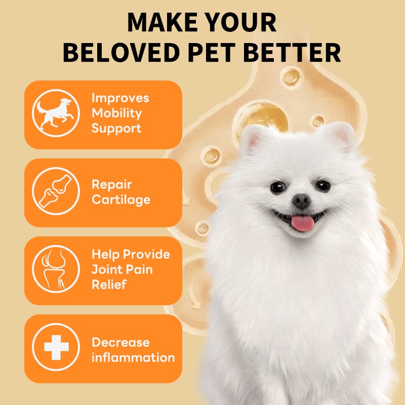 Glucosamine Liquid Supplier - OEM/ODM High-Quality Natural Glucosamine Liquid for Pets Joint Health