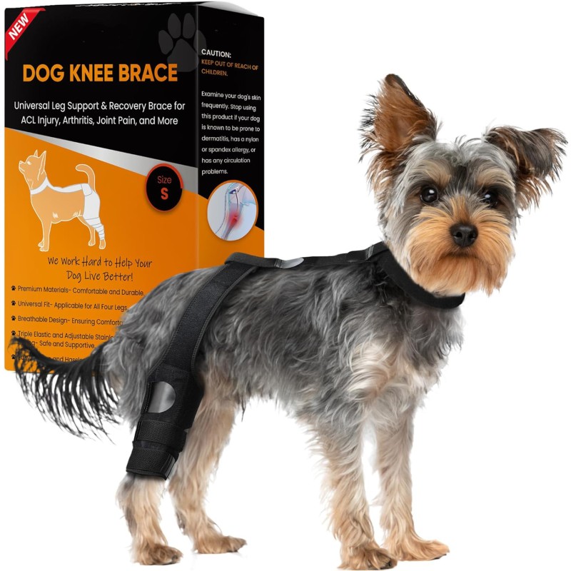 Dog Brace Supplier - Wholesale Breathable Hock Adjustable Recovery Sleeve Dog Leg Knee Brace Support
