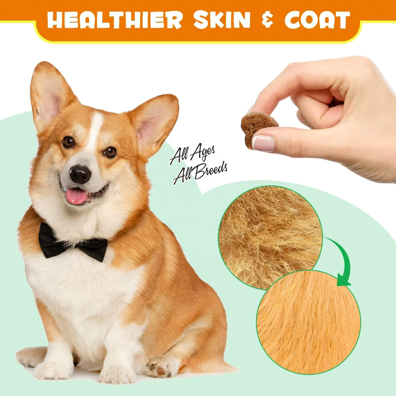 Probiotic Treats Manufacturer - OEM/ODM 400g Natural Probiotic Soft Chews Dog Treats for Gut Health