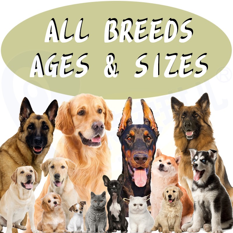 Muscle Tablets Supplier - Muscle Gain High-Protein Tablets for Dogs Vitamin AED3B12 Colostrum Supplement