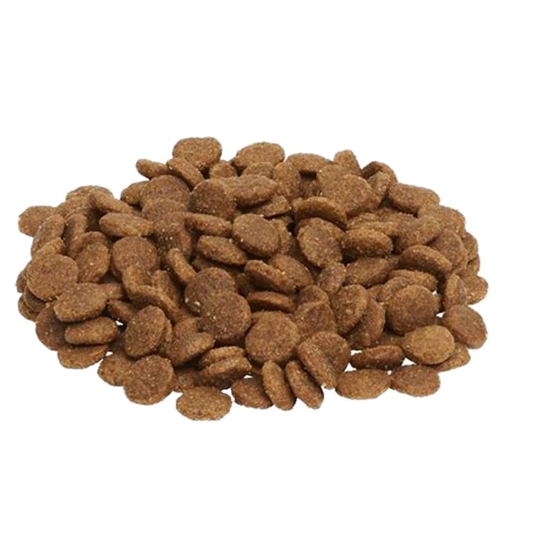 Dry Pet Food Supplier - Organic Grain-Free Pet Dry Food Healthy Custom Label Wholesale Bulk Tons