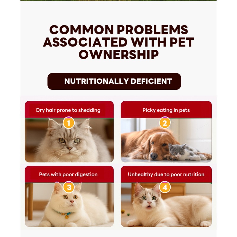 Cat Treats Manufacturer - Manufacturer Wholesale Custom 15g Cat Bars Treat Peien Cat Strip Snack